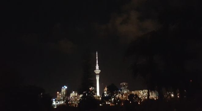 auckland by night